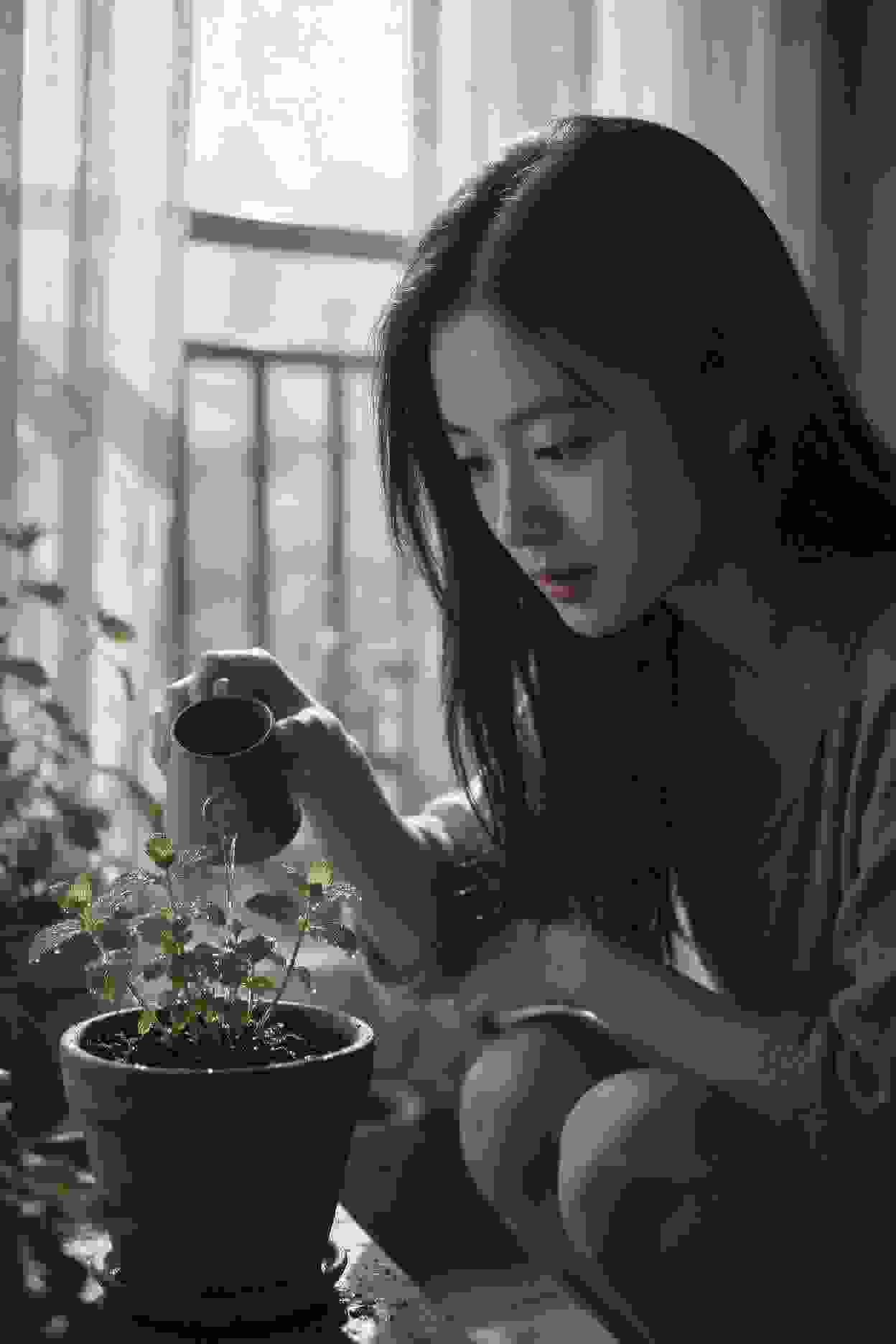 五姐妹的梦想